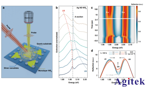 双通道锁相放大器OE1022D应用在“非线性”等离激元激子极化激元研究(图1)