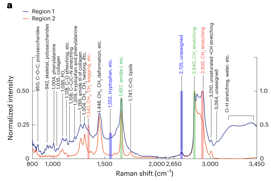 赛恩OE2041锁相放大器在超宽带受激拉曼散射光谱与成像技术中的应用(图7)